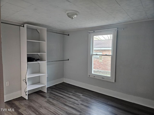 interior space featuring multiple windows and dark hardwood / wood-style flooring