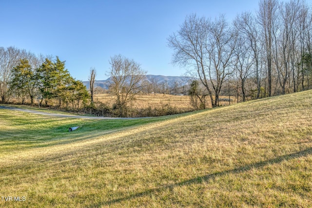 view of yard featuring a mountain view