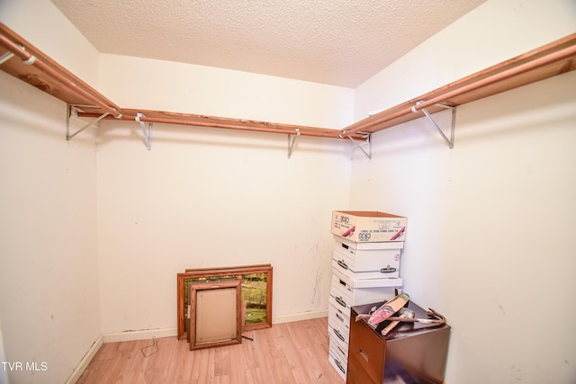 spacious closet featuring light wood-type flooring