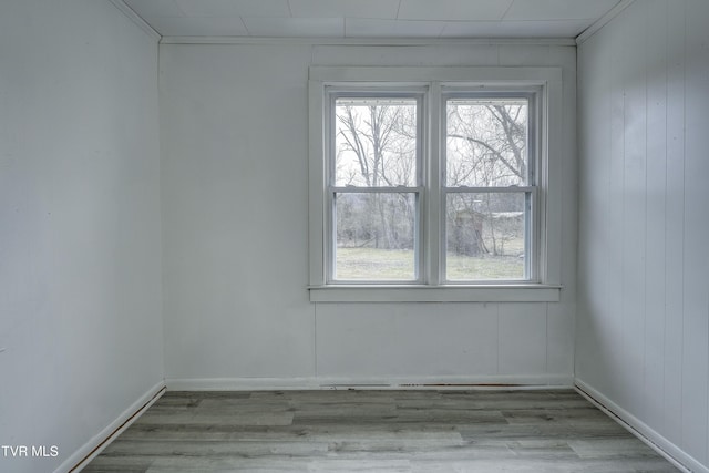 empty room featuring plenty of natural light and light hardwood / wood-style flooring