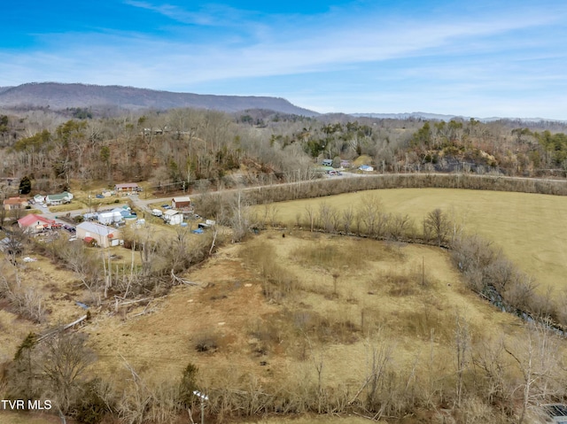 bird's eye view featuring a mountain view