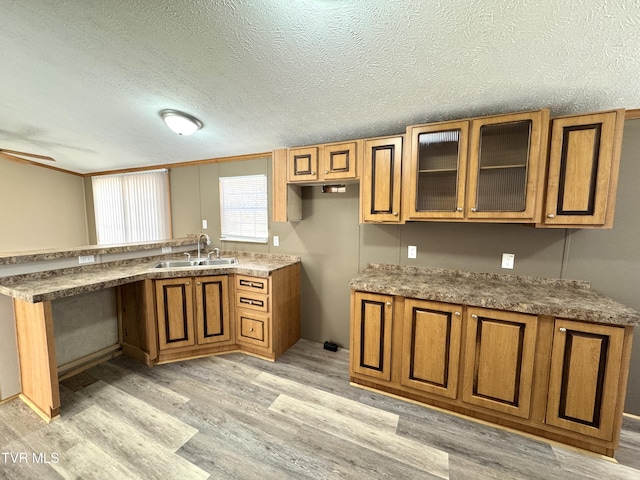 kitchen featuring ceiling fan, sink, a textured ceiling, and light wood-type flooring