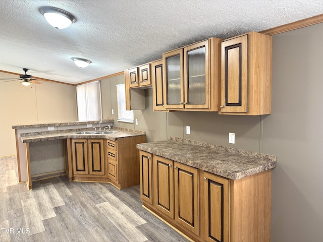 kitchen featuring sink, light hardwood / wood-style flooring, a textured ceiling, kitchen peninsula, and ceiling fan