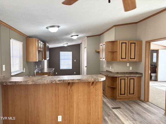 kitchen featuring crown molding, ceiling fan, plenty of natural light, and kitchen peninsula