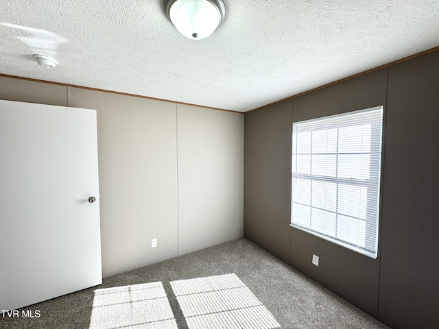 unfurnished room with crown molding, carpet floors, and a textured ceiling