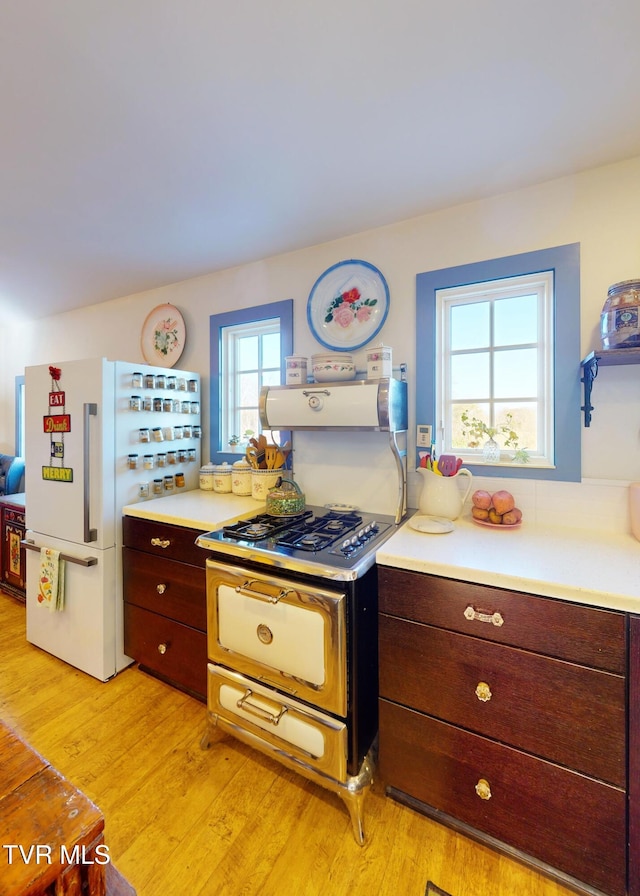 kitchen with dark brown cabinets, range, light hardwood / wood-style floors, and white fridge