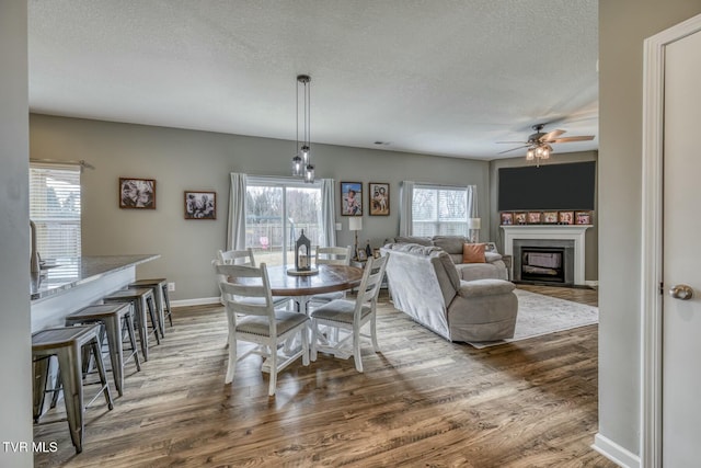 6758 Wildlife Cir, Piney Flats, TN 37686 - dining space featuring ceiling fan, hardwood / wood-style floors, and a textured ceiling