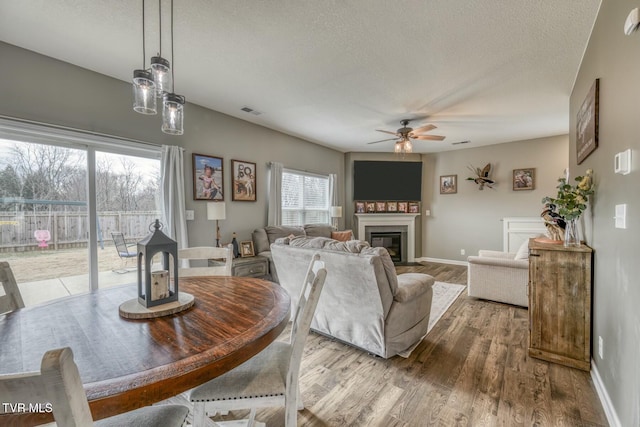 6758 Wildlife Cir, Piney Flats, TN 37686 - living room with ceiling fan, hardwood / wood-style flooring, and a textured ceiling