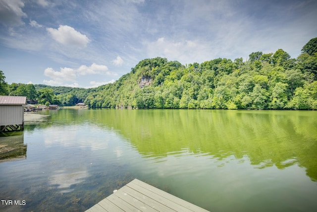 dock area with a water view