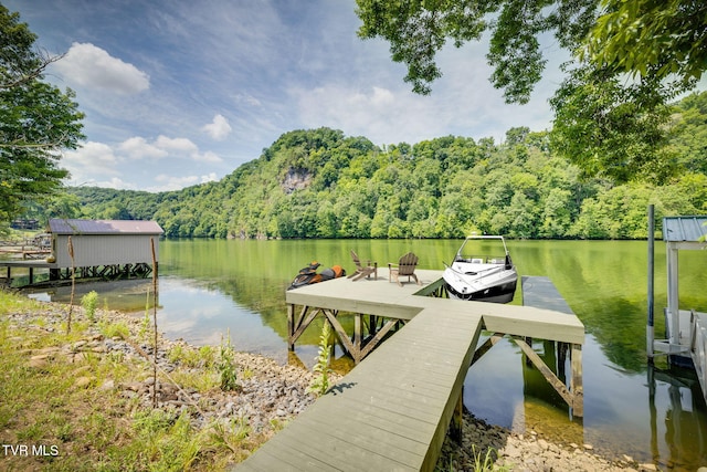 dock area with a water view