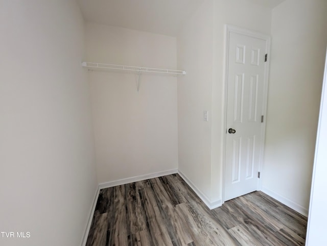 walk in closet featuring wood-type flooring