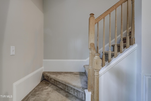 stairs with carpet flooring