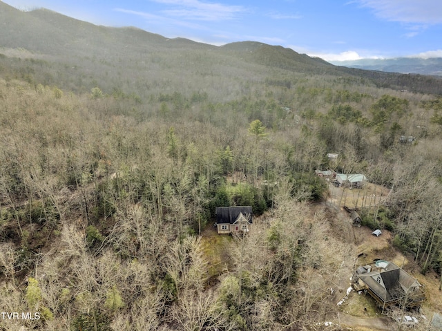 property view of mountains