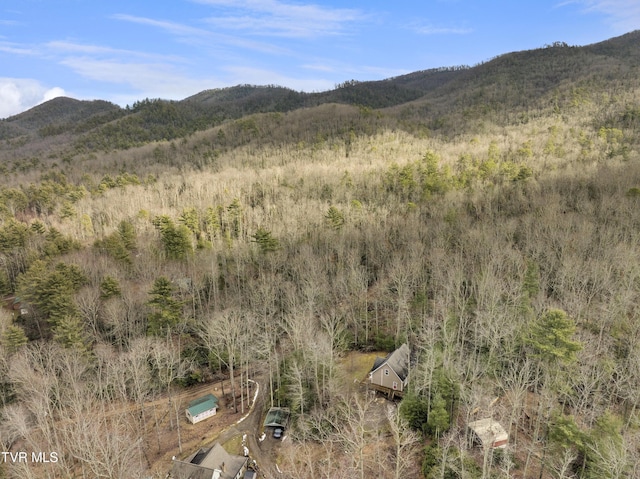 property view of mountains