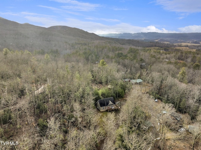 drone / aerial view featuring a mountain view