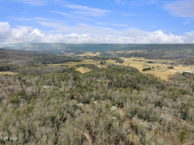 bird's eye view featuring a rural view