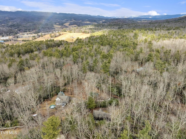 property view of mountains