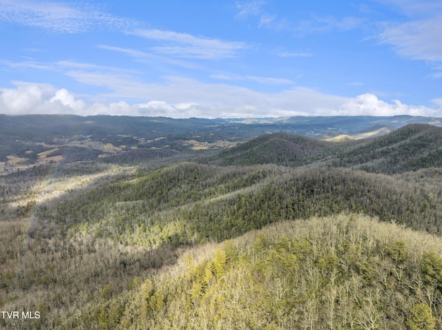 view of mountain feature