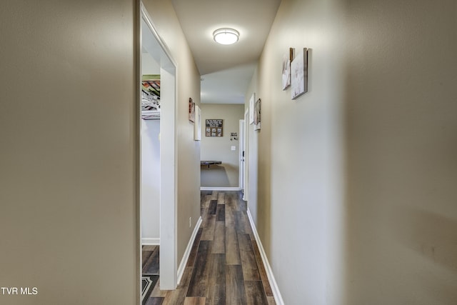 hallway featuring dark hardwood / wood-style floors