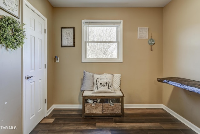 sitting room with dark wood-type flooring