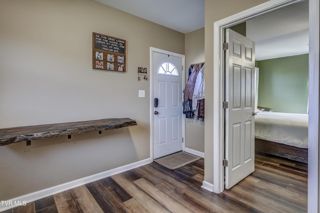 foyer with dark wood-type flooring