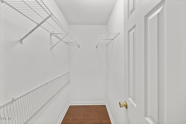 walk in closet with dark wood-type flooring