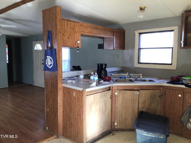 kitchen featuring plenty of natural light, sink, and hardwood / wood-style floors