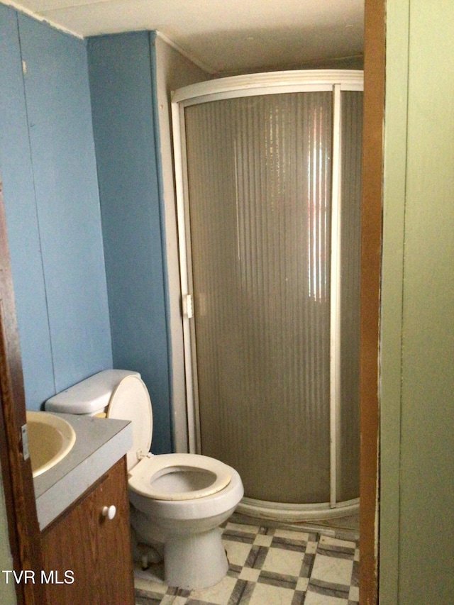 bathroom with vanity, toilet, and walk in shower