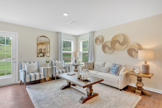 living room featuring hardwood / wood-style floors