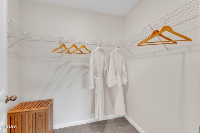 spacious closet with carpet floors