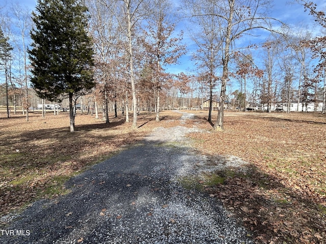 view of road