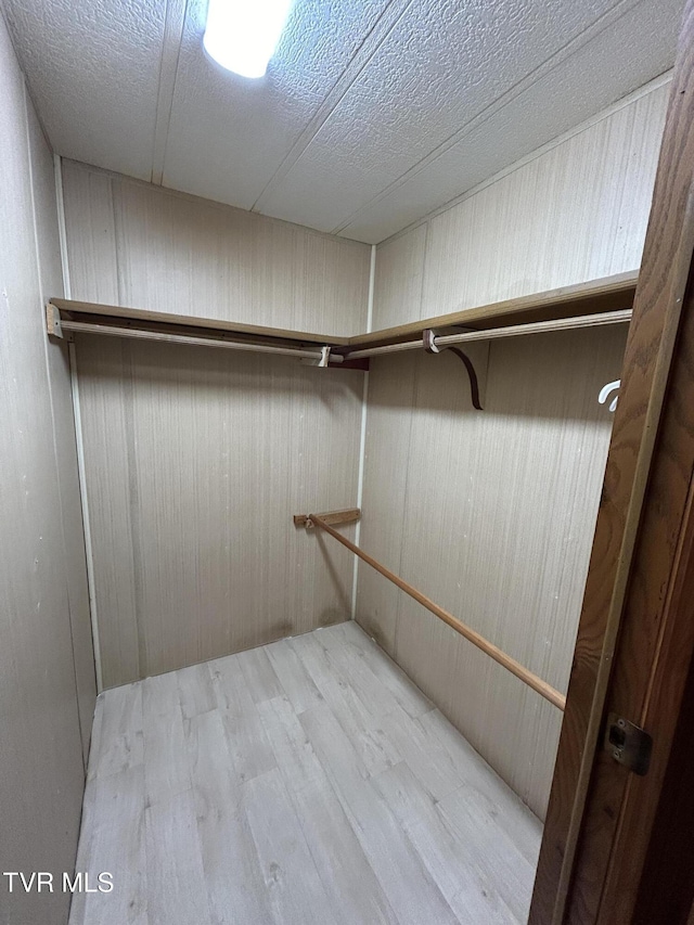 spacious closet featuring wood-type flooring