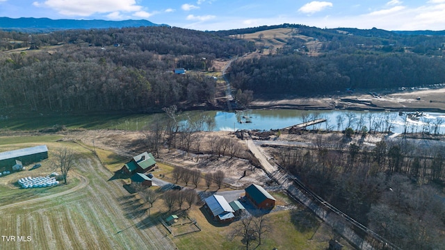 birds eye view of property with a water and mountain view