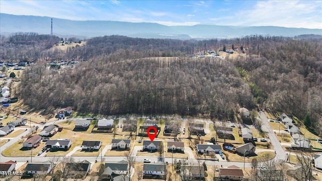 aerial view with a mountain view