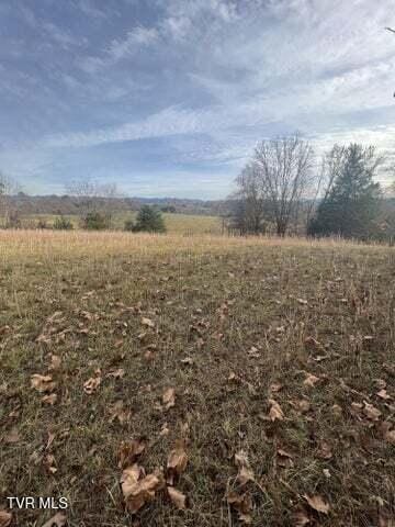 1003 Borowood Ct, Jonesborough TN, 37659 land for sale