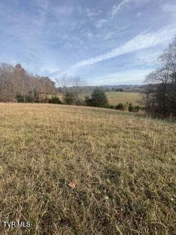 Listing photo 3 for 1003 Borowood Ct, Jonesborough TN 37659