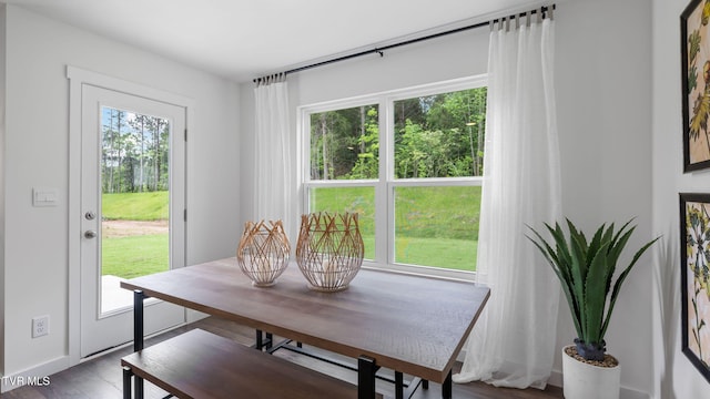 dining space featuring hardwood / wood-style floors