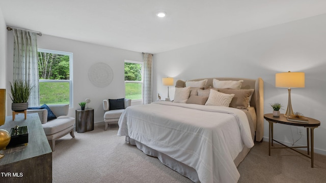 view of carpeted bedroom