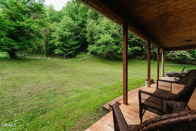109 Triangle B Dr, Erwin, TN 37650 - view of green lawn
