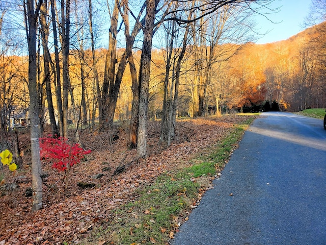 000 Toms Creek Dr, Roan Mountain, TN 37687