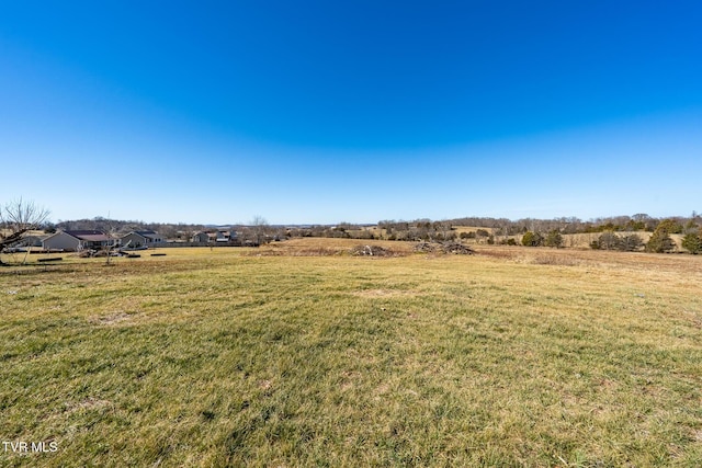 view of yard featuring a rural view