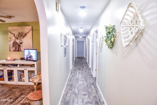 corridor featuring dark hardwood / wood-style flooring