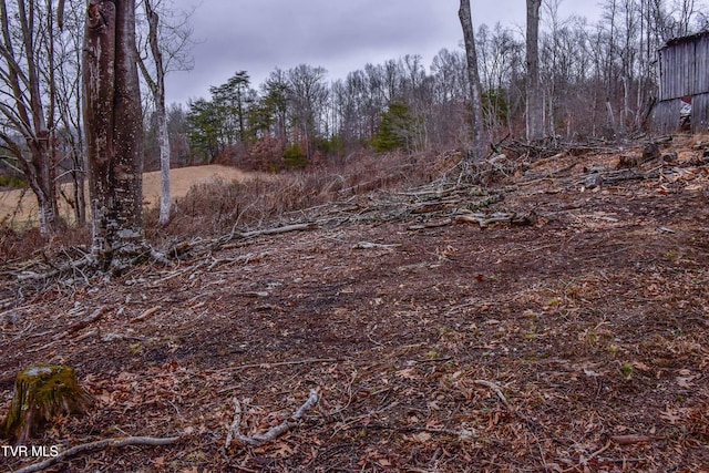 view of local wilderness