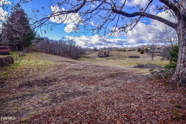 view of yard featuring a rural view