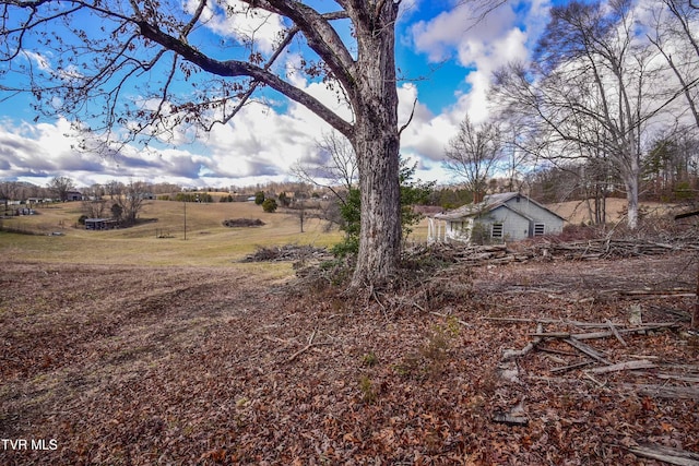 view of yard with a rural view