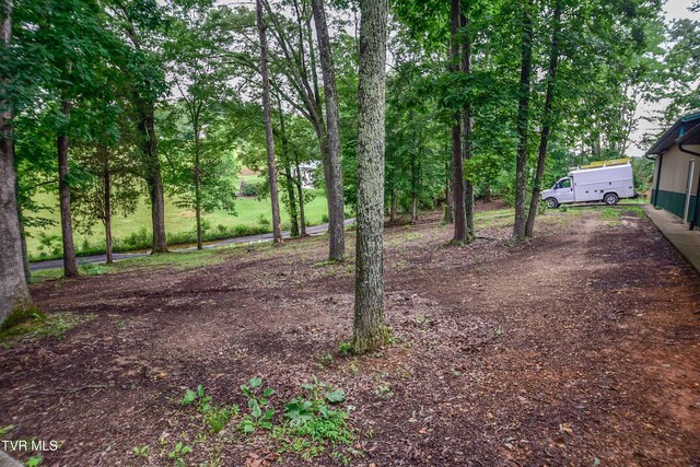 184/202 Sandidge Hollow Rd, Surgoinsville, TN 37873 - photo 29