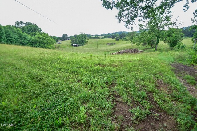 184/202 Sandidge Hollow Rd, Surgoinsville, TN 37873 - photo 30