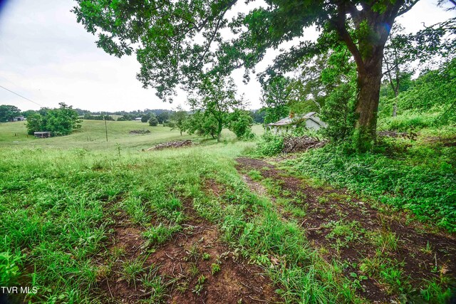 184/202 Sandidge Hollow Rd, Surgoinsville, TN 37873 - photo 32