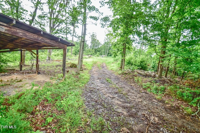 184/202 Sandidge Hollow Rd, Surgoinsville, TN 37873 - photo 34