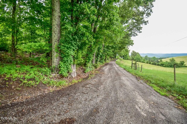 184/202 Sandidge Hollow Rd, Surgoinsville, TN 37873 - photo 35